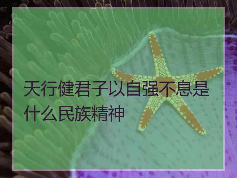 天行健君子以自强不息是什么民族精神