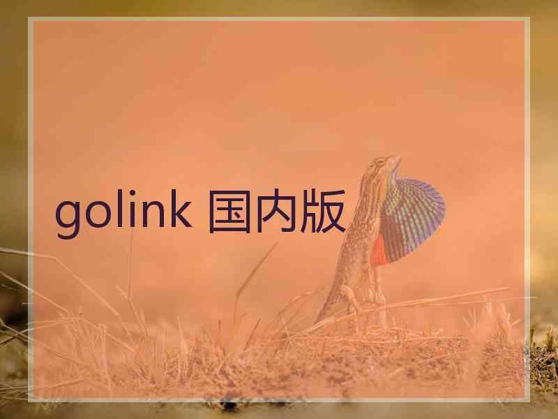 golink 国内版