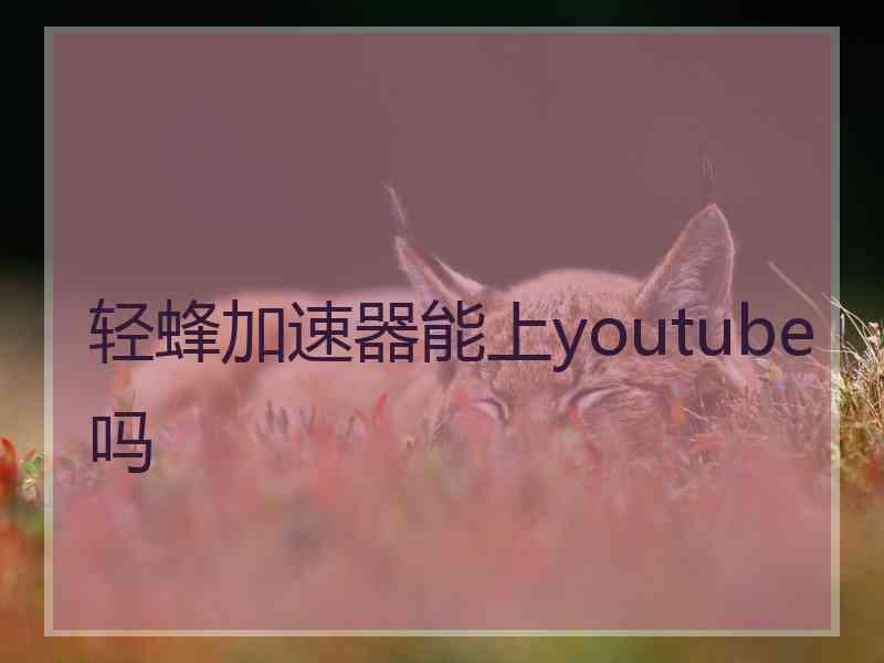 轻蜂加速器能上youtube吗