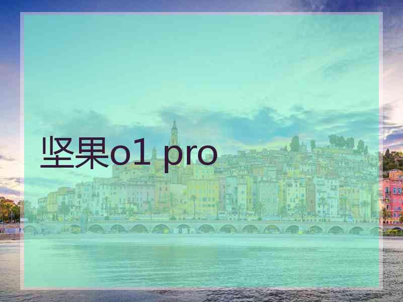 坚果o1 pro