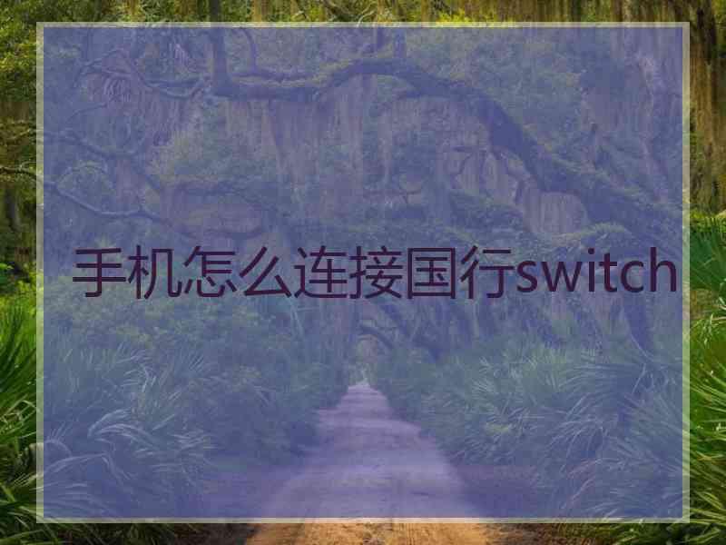 手机怎么连接国行switch