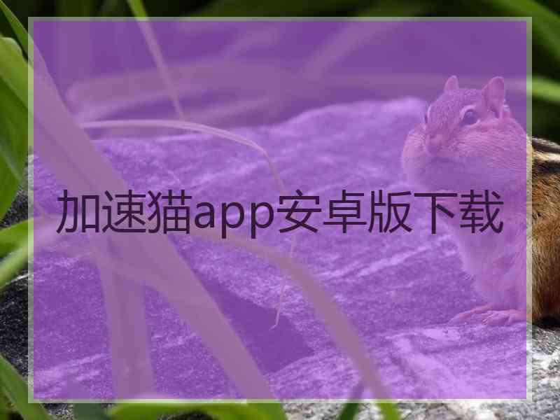 加速猫app安卓版下载