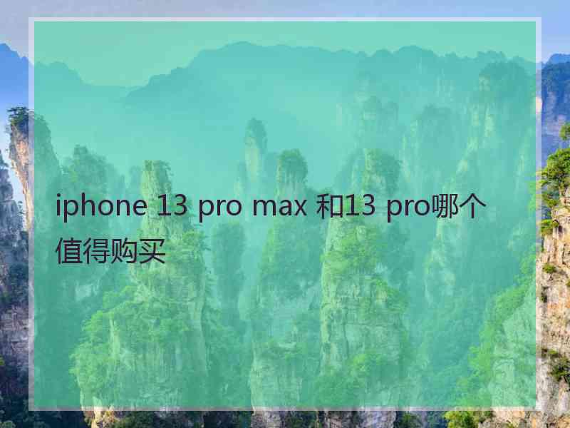 iphone 13 pro max 和13 pro哪个值得购买