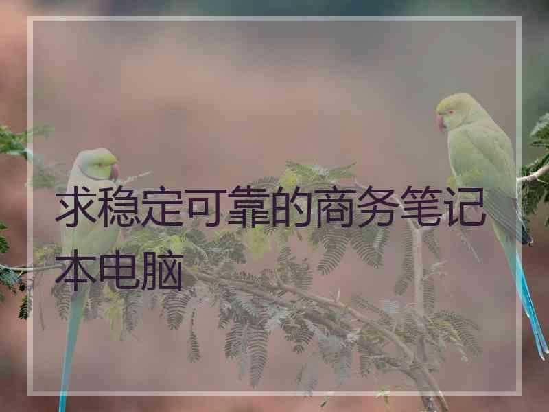 求稳定可靠的商务笔记本电脑