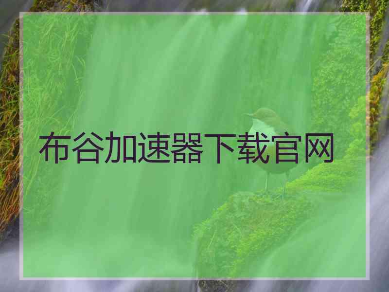 布谷加速器下载官网