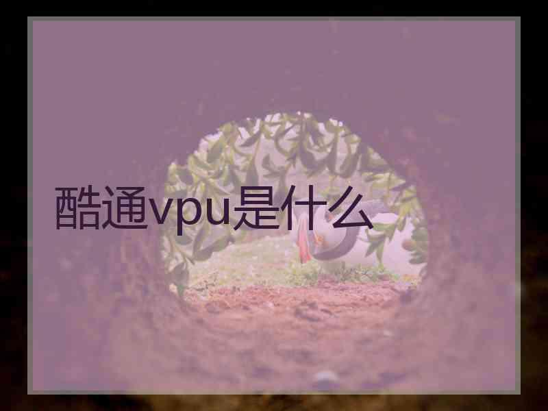 酷通vpu是什么