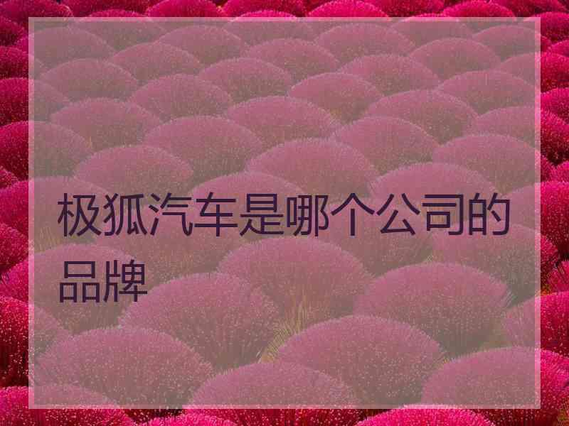 极狐汽车是哪个公司的品牌