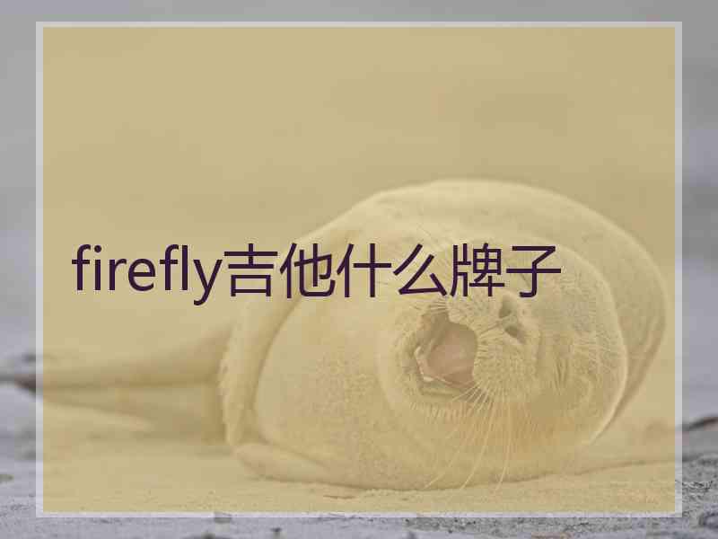 firefly吉他什么牌子