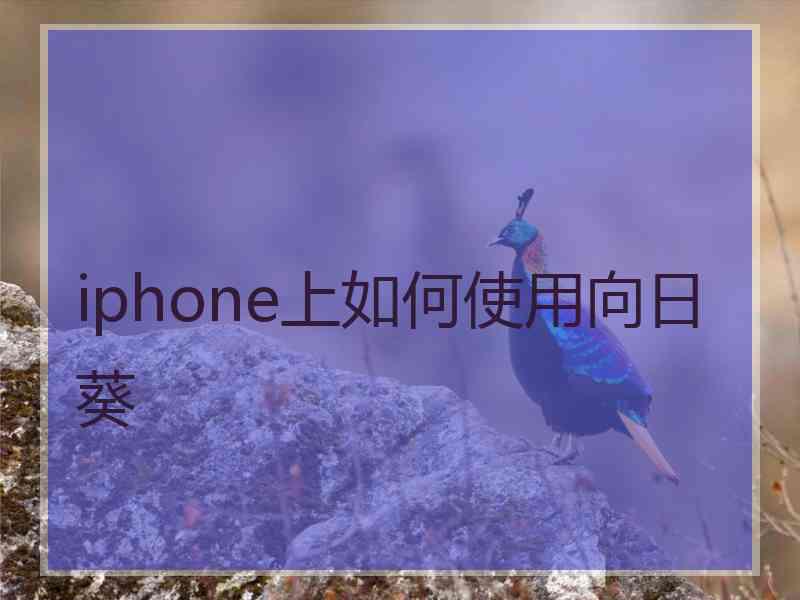 iphone上如何使用向日葵