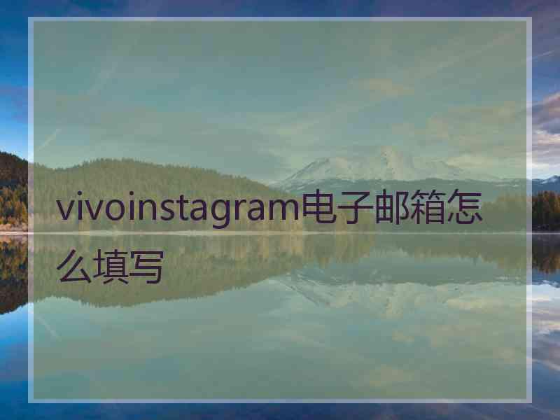 vivoinstagram电子邮箱怎么填写