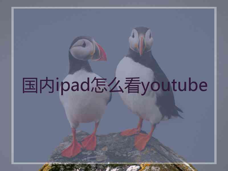 国内ipad怎么看youtube