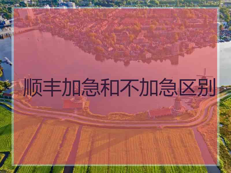 顺丰加急和不加急区别