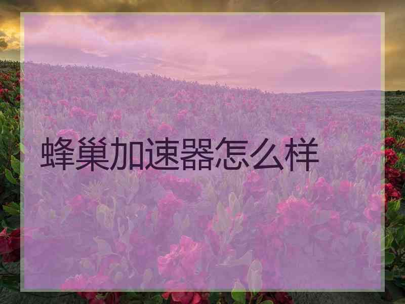 蜂巢加速器怎么样