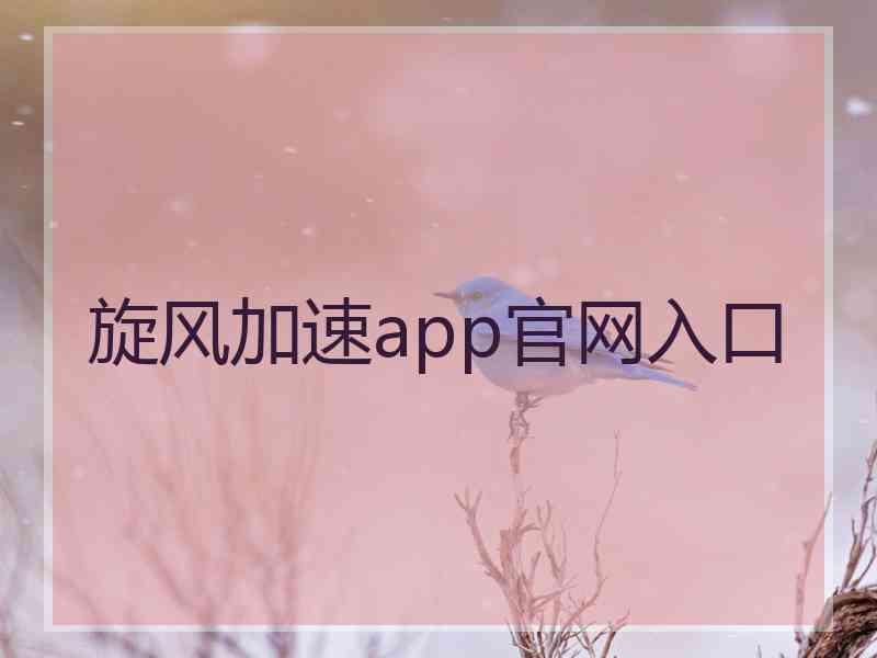 旋风加速app官网入口