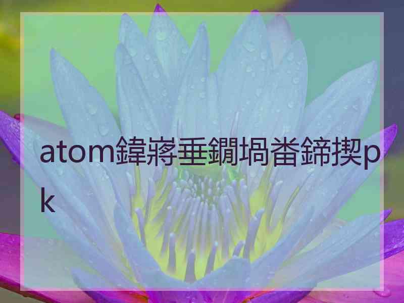 atom鍏嶈垂鐗堝畨鍗揳pk