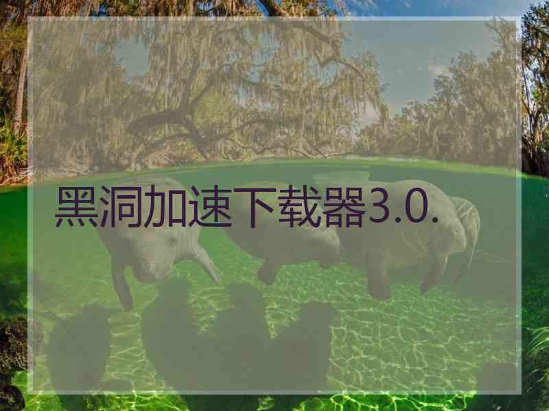 黑洞加速下载器3.0.