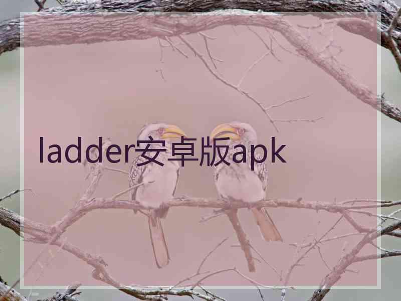 ladder安卓版apk