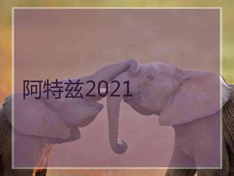 阿特兹2021