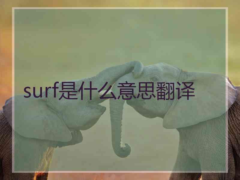 surf是什么意思翻译