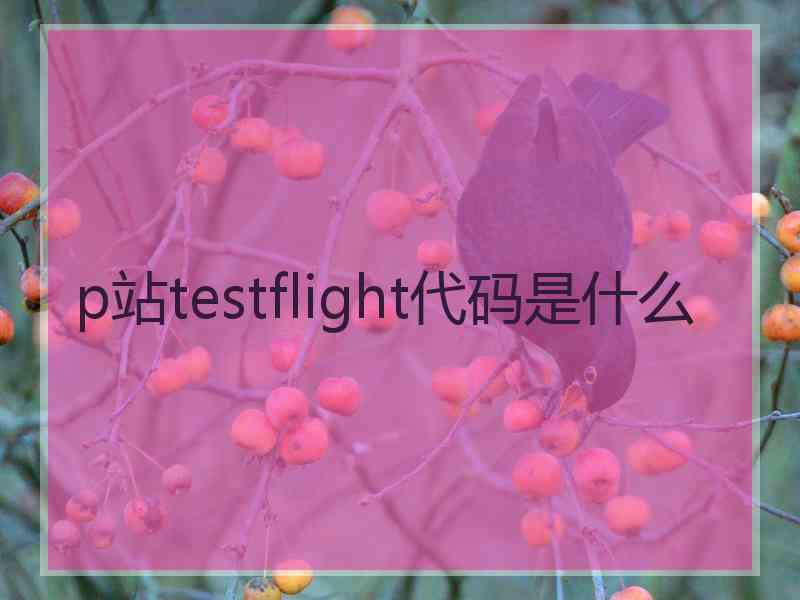 p站testflight代码是什么