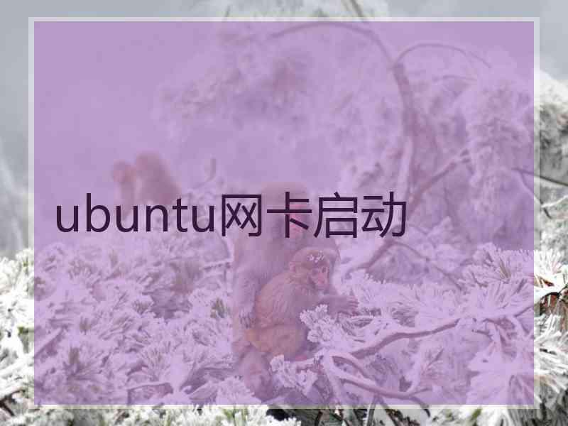 ubuntu网卡启动