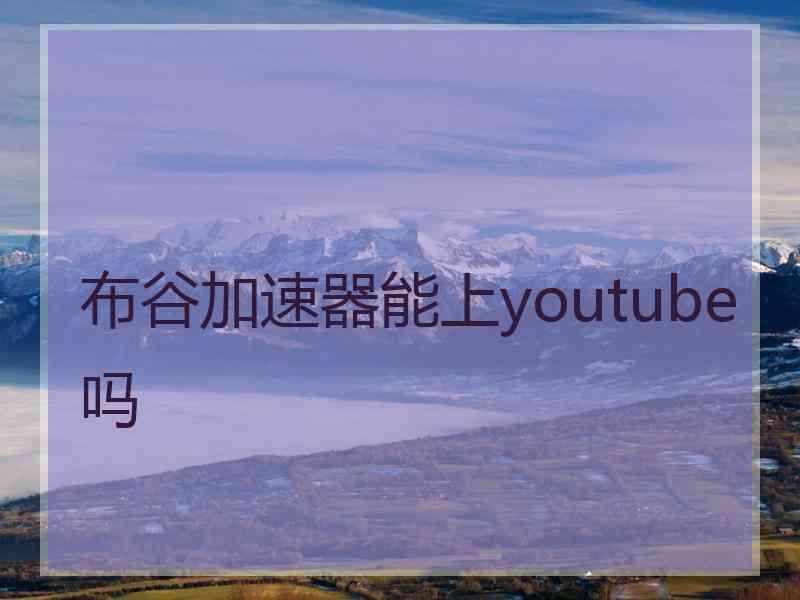 布谷加速器能上youtube吗