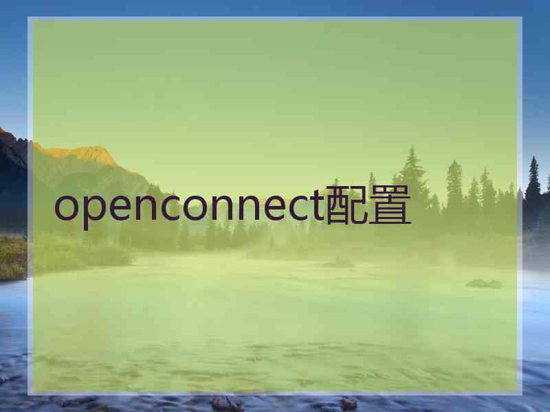 openconnect配置