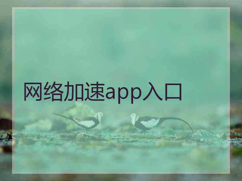 网络加速app入口