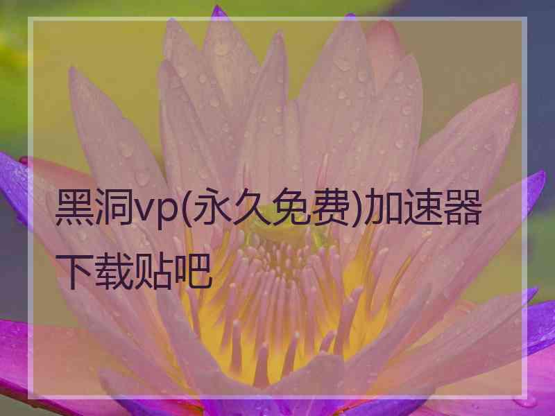 黑洞vp(永久免费)加速器下载贴吧