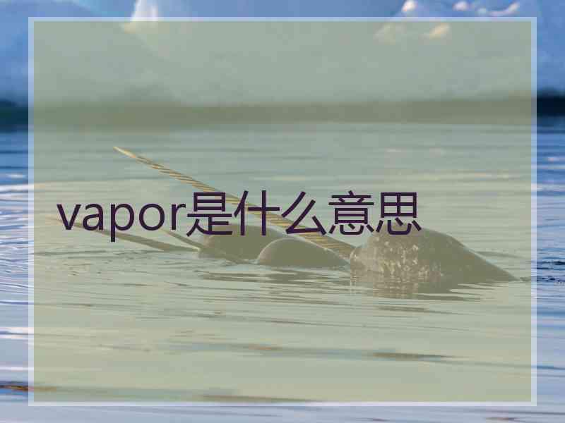 vapor是什么意思