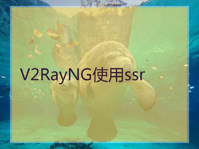 V2RayNG使用ssr