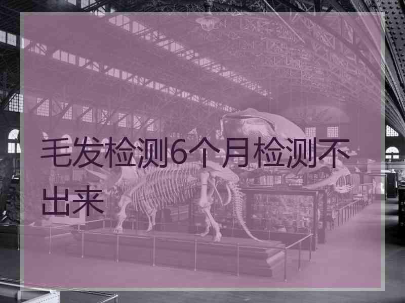 毛发检测6个月检测不出来