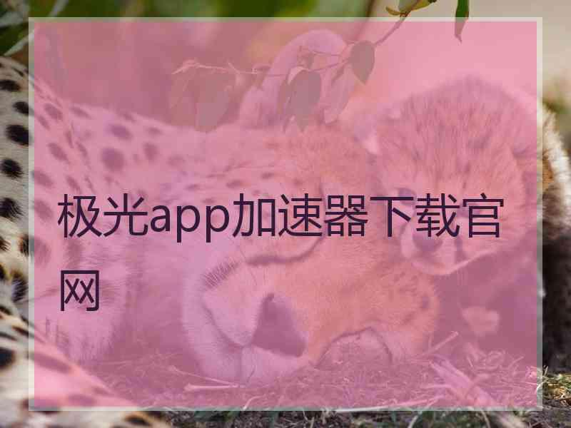 极光app加速器下载官网