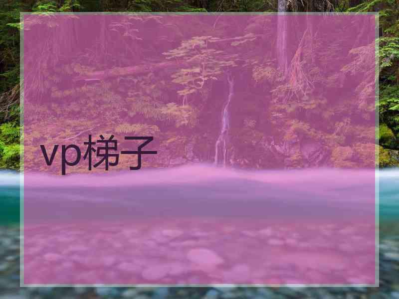 vp梯子