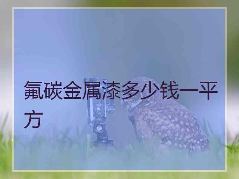 氟碳金属漆多少钱一平方