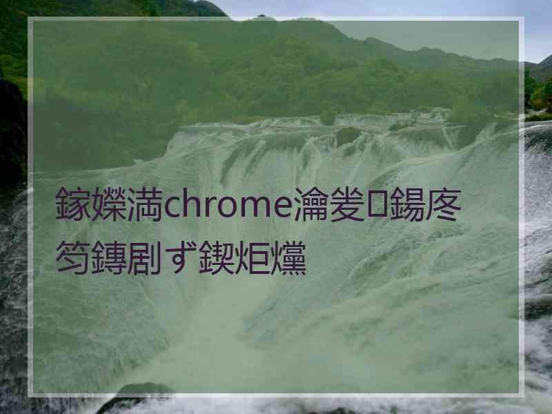 鎵嬫満chrome瀹夎鍚庝笉鏄剧ず鍥炬爣