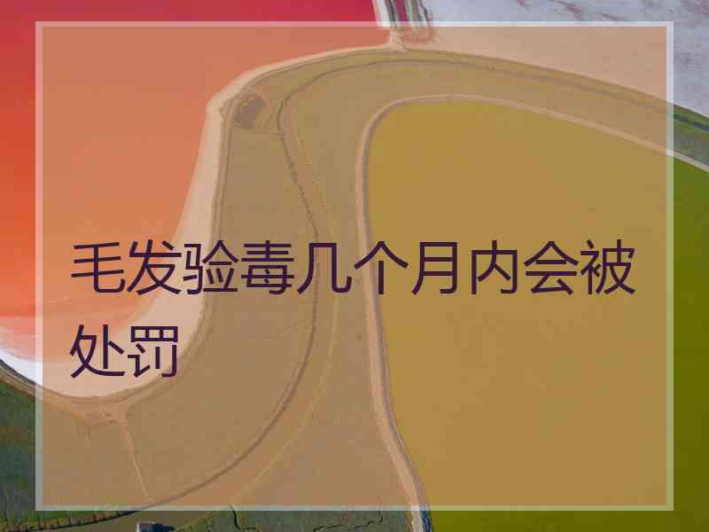 毛发验毒几个月内会被处罚