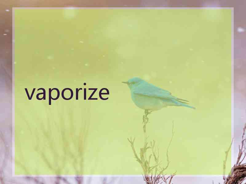 vaporize