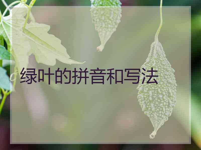 绿叶的拼音和写法