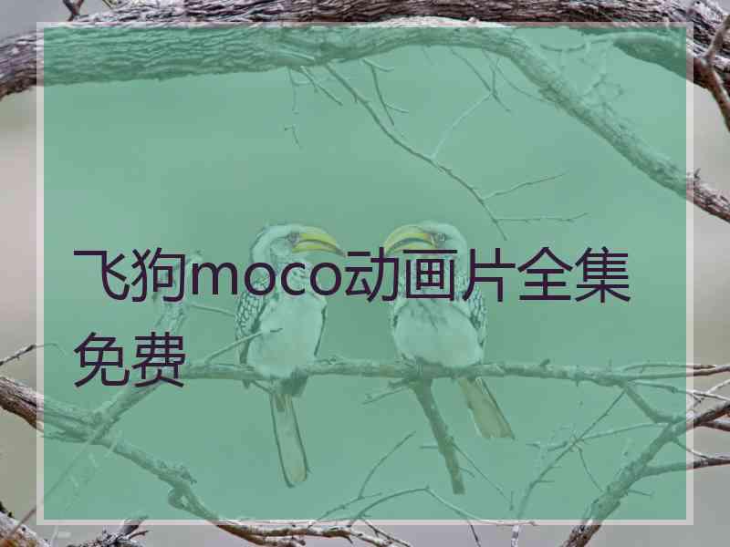 飞狗moco动画片全集免费