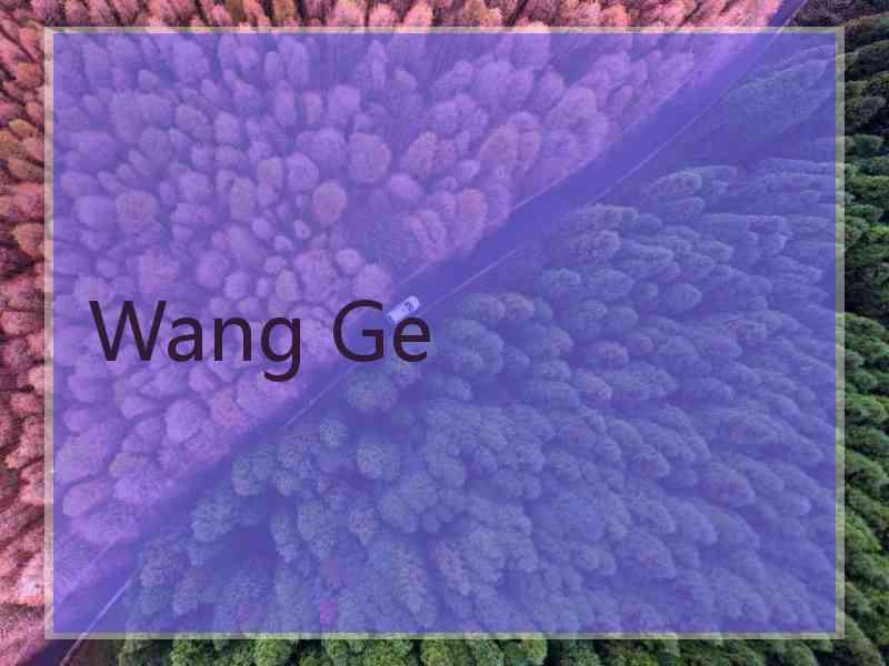 Wang Ge