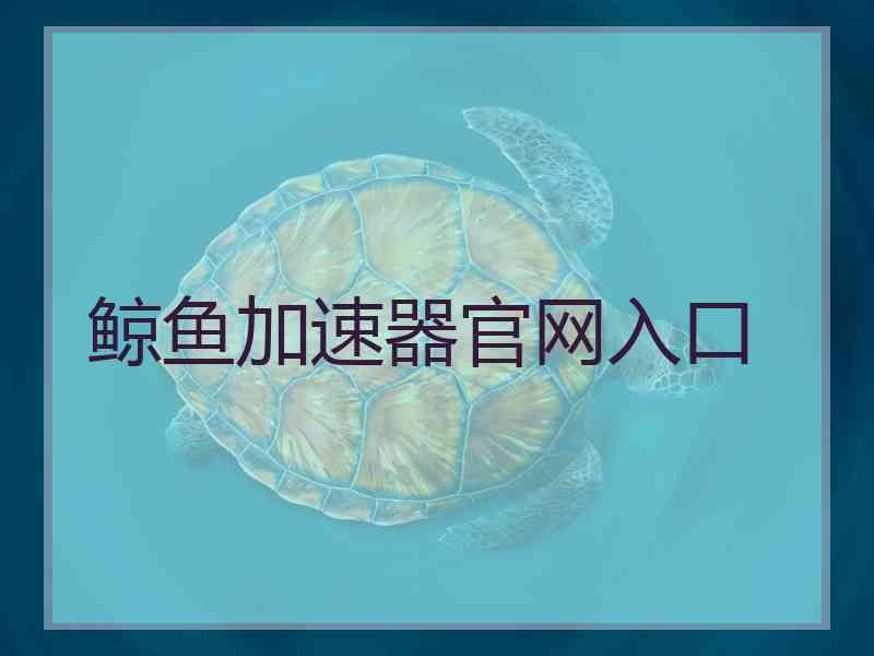 鲸鱼加速器官网入口