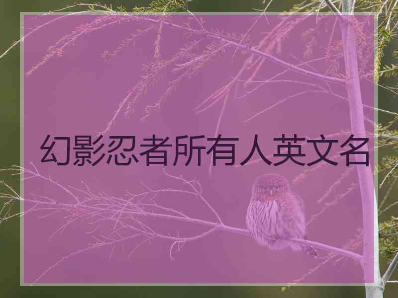 幻影忍者所有人英文名