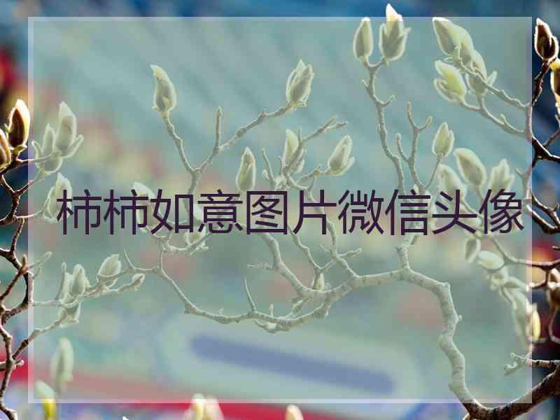 柿柿如意图片微信头像