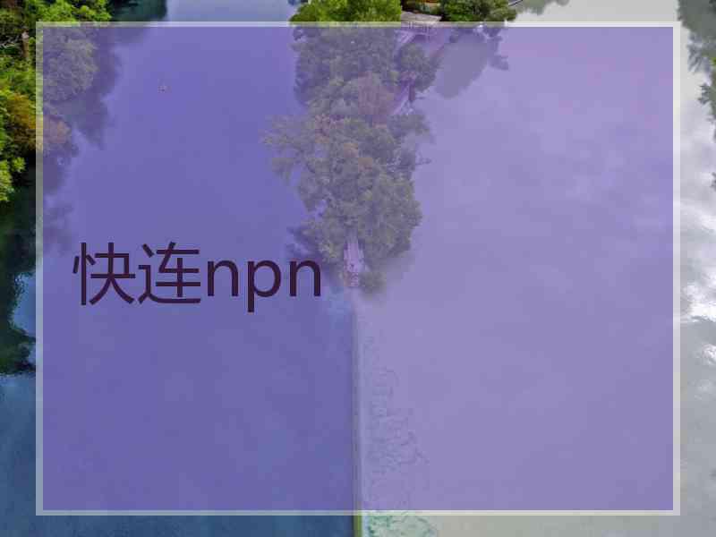 快连npn