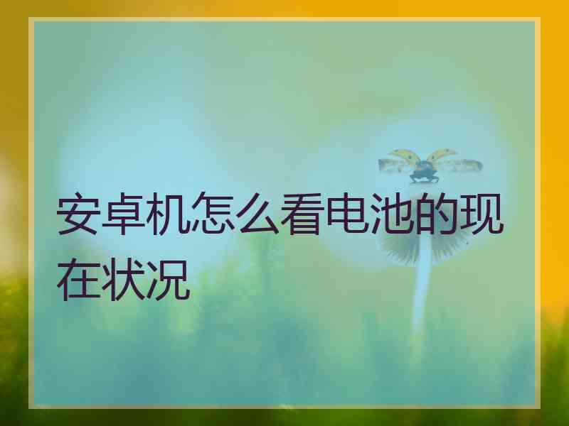 安卓机怎么看电池的现在状况