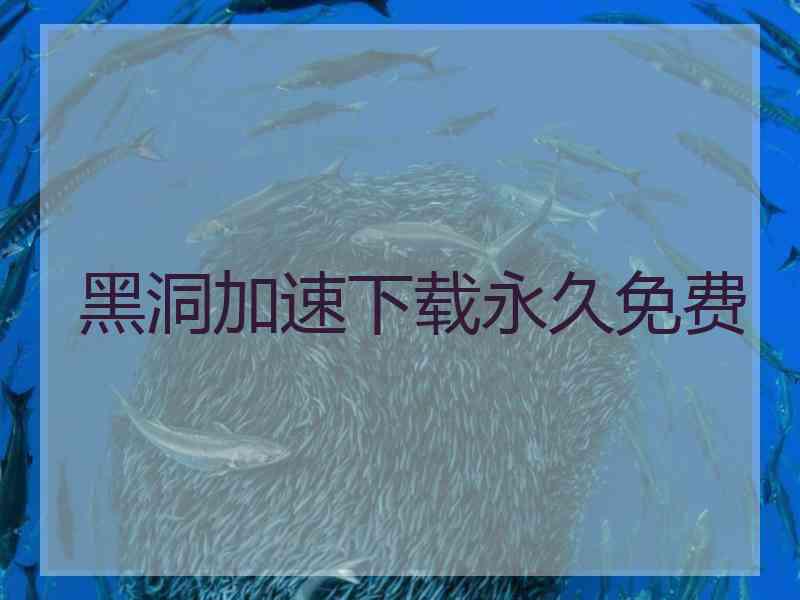 黑洞加速下载永久免费