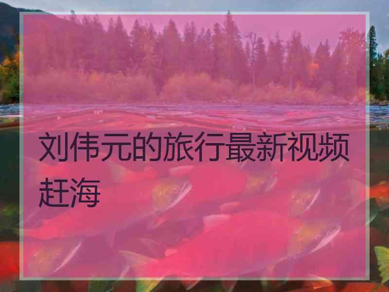 刘伟元的旅行最新视频赶海