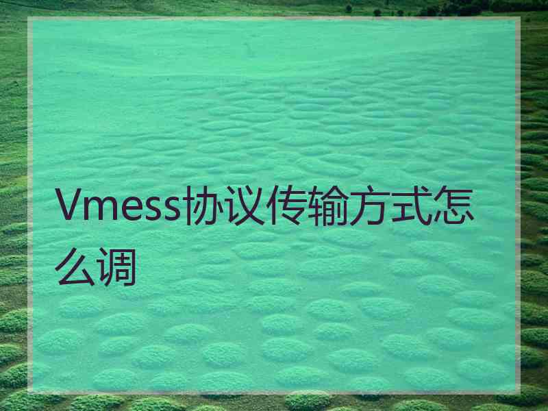 Vmess协议传输方式怎么调