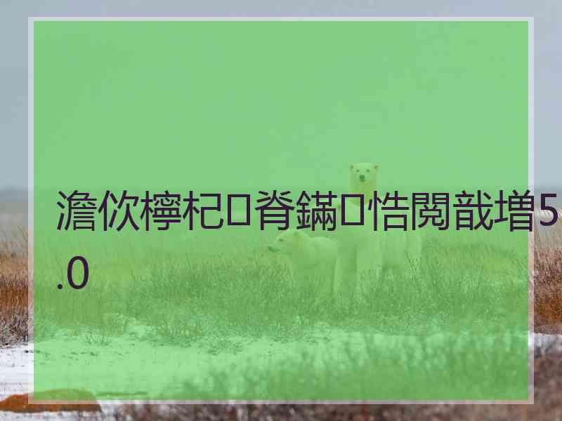 澹佽檸杞脊鏋悎閲戠増5.0